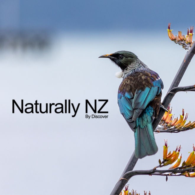 Naturally NZ Outlet